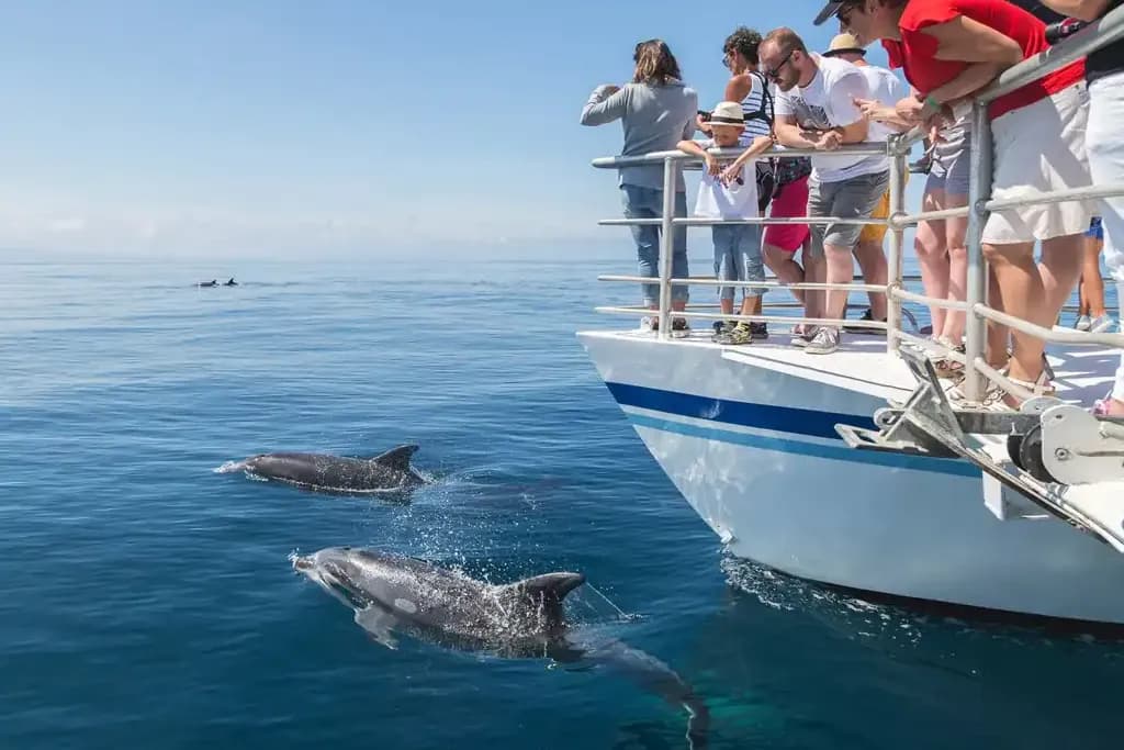 Excursion en Mer